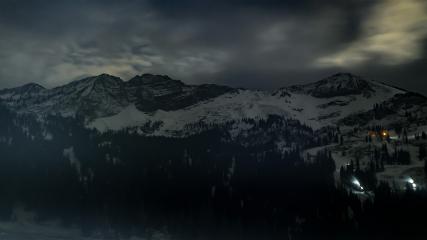 Alta: Alta (alta.com)