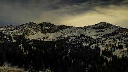 Alta: Alta (alta.com)