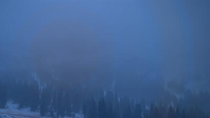 Alta: Alta (alta.com)