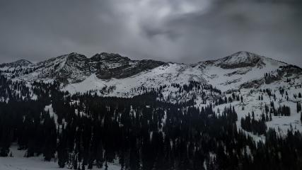 Alta: Alta (alta.com)