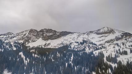 Alta: Alta (alta.com)