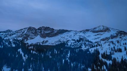 Alta: Alta (alta.com)