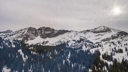 Alta: Alta (alta.com)