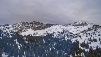 Alta: Alta (alta.com)