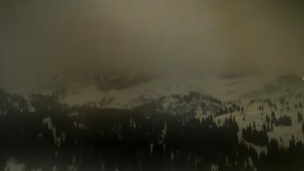 Alta: Alta (alta.com)