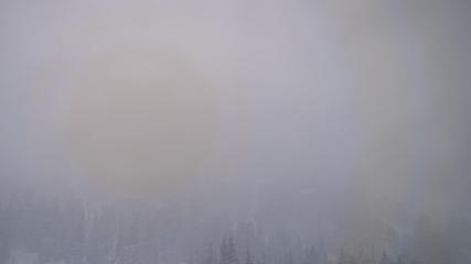 Alta: Alta (alta.com)