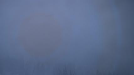 Alta: Alta (alta.com)