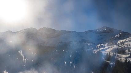 Alta: Alta (alta.com)