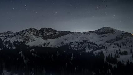 Alta: Alta (alta.com)