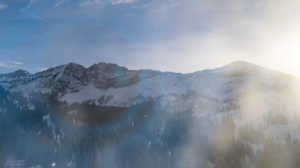 Alta: Alta (alta.com)