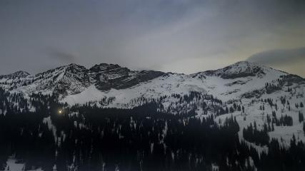 Alta: Alta (alta.com)