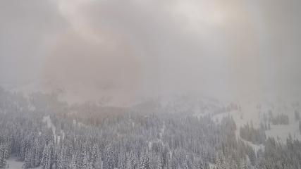 Alta: Alta (alta.com)