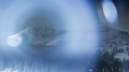 Alta: Alta (alta.com)