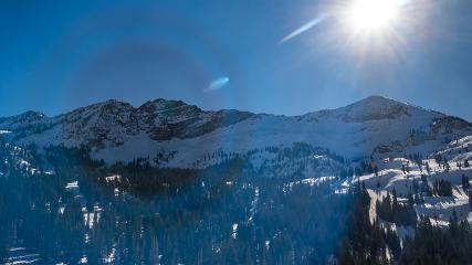 Alta: Alta (alta.com)