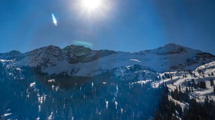 Alta: Alta (alta.com)