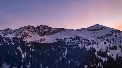 Alta: Alta (alta.com)