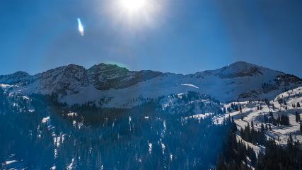 Alta: Alta (alta.com)