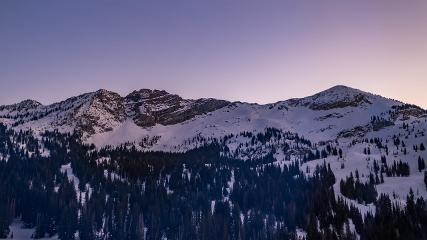 Alta: Alta (alta.com)