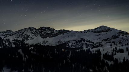 Alta: Alta (alta.com)