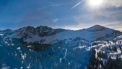 Alta: Alta (alta.com)