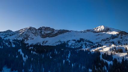 Alta: Alta (alta.com)