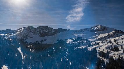 Alta: Alta (alta.com)