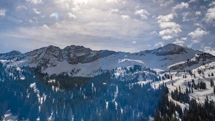 Alta: Alta (alta.com)