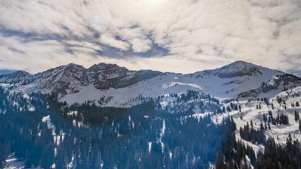 Alta: Alta (alta.com)