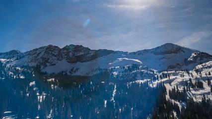 Alta: Alta (alta.com)