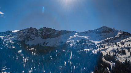 Alta: Alta (alta.com)