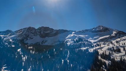 Alta: Alta (alta.com)