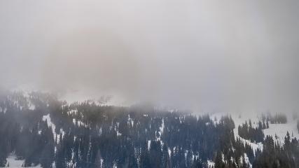 Alta: Alta (alta.com)