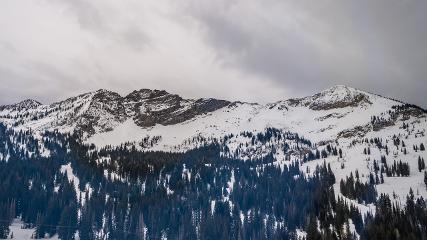 Alta: Alta (alta.com)