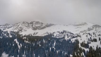 Alta: Alta (alta.com)