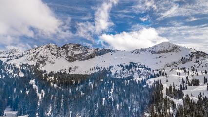 Alta: Alta (alta.com)