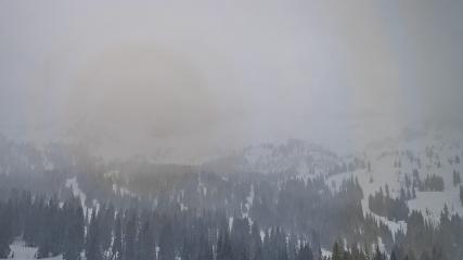 Alta: Alta (alta.com)