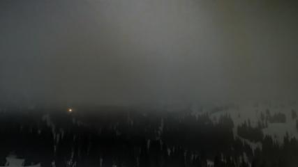 Alta: Alta (alta.com)