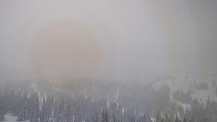 Alta: Alta (alta.com)