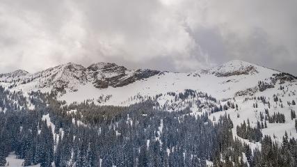 Alta: Alta (alta.com)