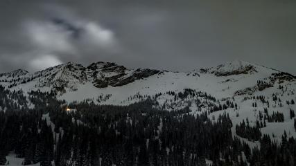 Alta: Alta (alta.com)