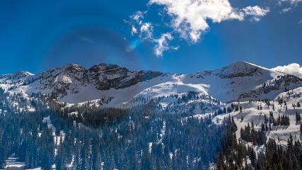 Alta: Alta (alta.com)