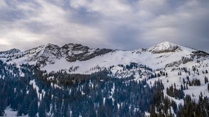 Alta: Alta (alta.com)