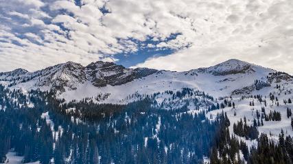 Alta: Alta (alta.com)