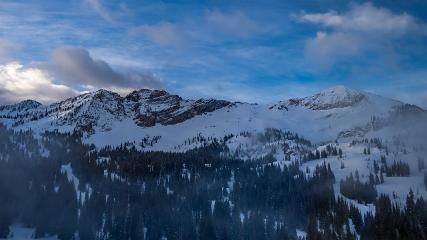 Alta: Alta (alta.com)