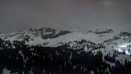 Alta: Alta (alta.com)