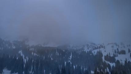 Alta: Alta (alta.com)