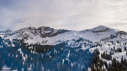 Alta: Alta (alta.com)