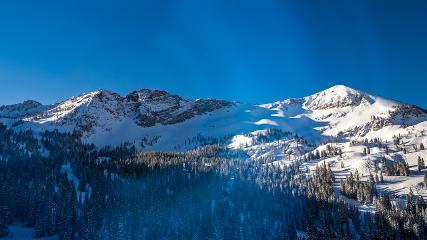 Alta: Alta (alta.com)