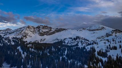 Alta: Alta (alta.com)