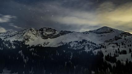 Alta: Alta (alta.com)